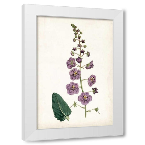 Lavender Florals VI White Modern Wood Framed Art Print by Curtis