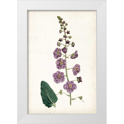 Lavender Florals VI White Modern Wood Framed Art Print by Curtis