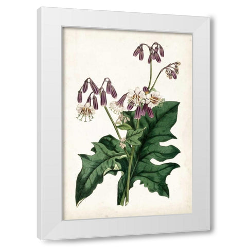 Lavender Florals VII White Modern Wood Framed Art Print by Curtis