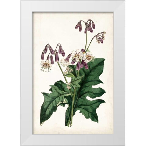 Lavender Florals VII White Modern Wood Framed Art Print by Curtis