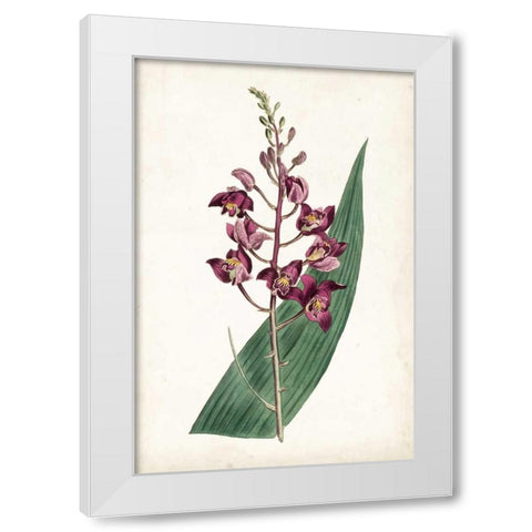 Lavender Florals VIII White Modern Wood Framed Art Print by Curtis