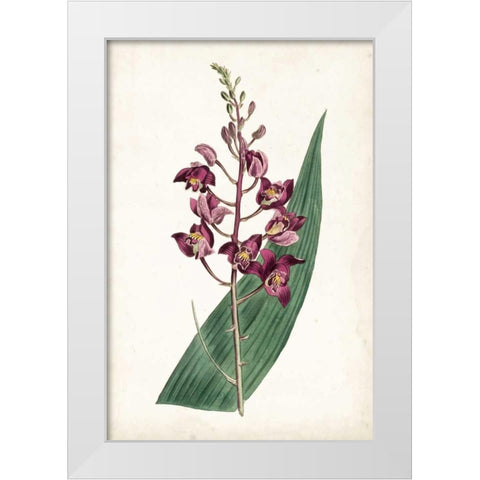 Lavender Florals VIII White Modern Wood Framed Art Print by Curtis