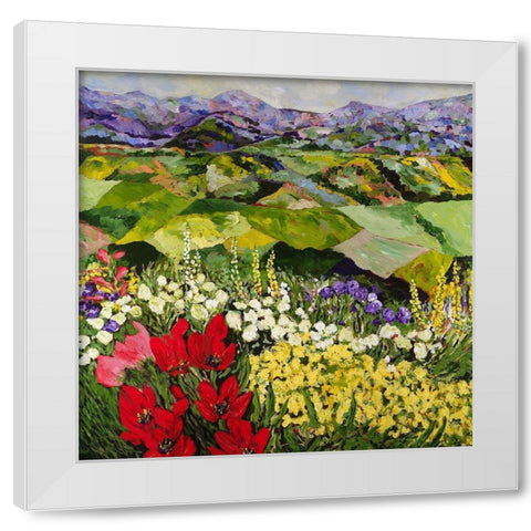 High Mountain Patch White Modern Wood Framed Art Print by Friedlander, Allan