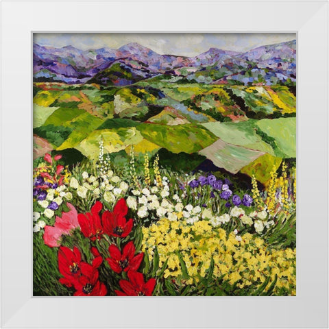 High Mountain Patch White Modern Wood Framed Art Print by Friedlander, Allan