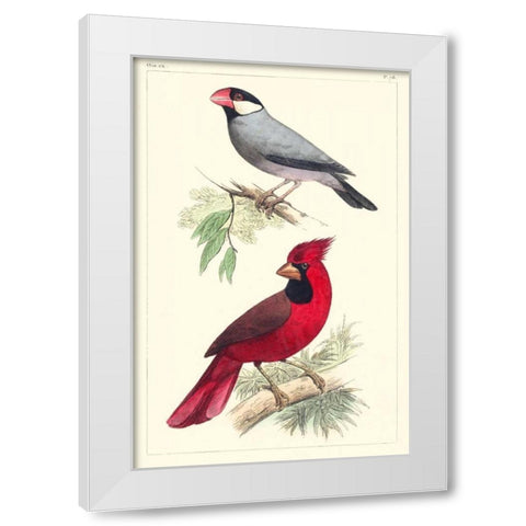 Lemaire Birds I White Modern Wood Framed Art Print by Lemaire, C.L.
