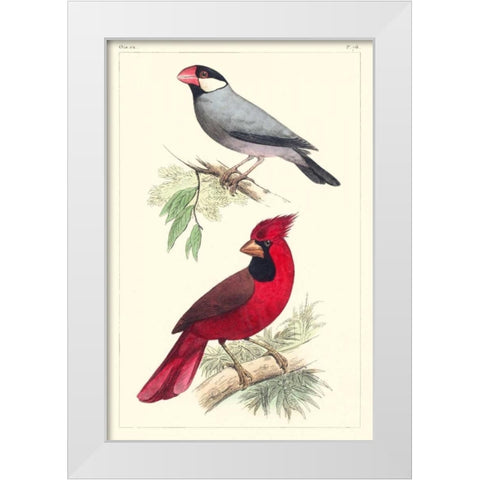 Lemaire Birds I White Modern Wood Framed Art Print by Lemaire, C.L.