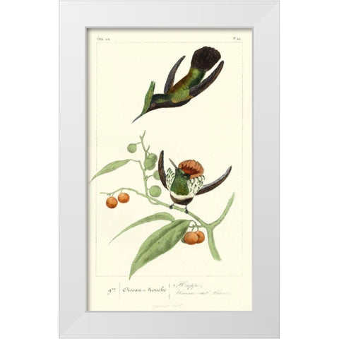 Lemaire Hummingbirds III White Modern Wood Framed Art Print by Lemaire, C.L.