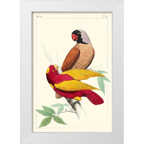 Lemaire Parrots II White Modern Wood Framed Art Print by Lemaire, C.L.