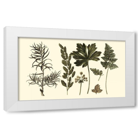 Fern Leaf Folio II White Modern Wood Framed Art Print by Oeder, Georg C.