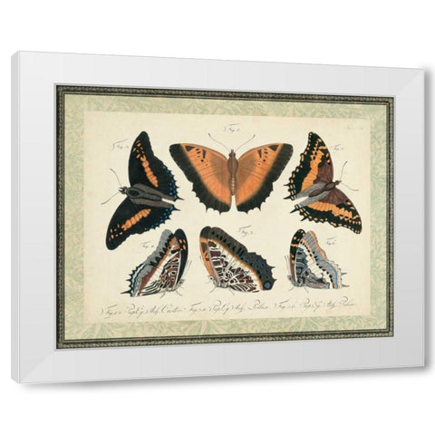 Bookplate Butterflies Trio I White Modern Wood Framed Art Print by Vision Studio