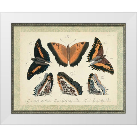 Bookplate Butterflies Trio I White Modern Wood Framed Art Print by Vision Studio