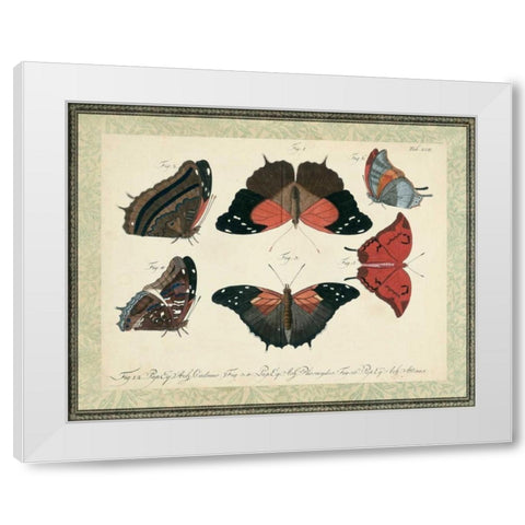 Bookplate Butterflies Trio II White Modern Wood Framed Art Print by Vision Studio