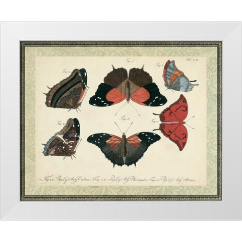 Bookplate Butterflies Trio II White Modern Wood Framed Art Print by Vision Studio