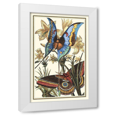 Butterfly I White Modern Wood Framed Art Print by Vision Studio