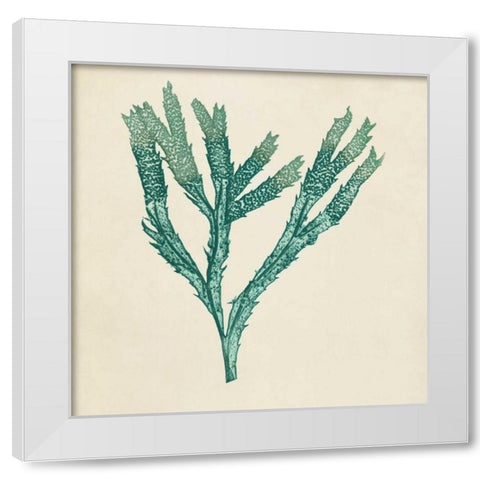 Chromatic Seaweed III White Modern Wood Framed Art Print by Vision Studio