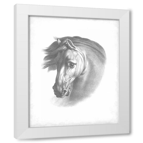 Equestrian Blueprint I White Modern Wood Framed Art Print by Vision Studio