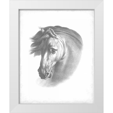 Equestrian Blueprint I White Modern Wood Framed Art Print by Vision Studio