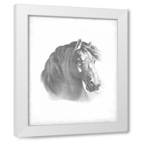 Equestrian Blueprint II White Modern Wood Framed Art Print by Vision Studio