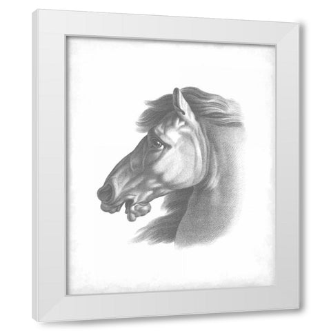 Equestrian Blueprint III White Modern Wood Framed Art Print by Vision Studio