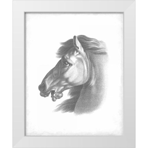 Equestrian Blueprint III White Modern Wood Framed Art Print by Vision Studio