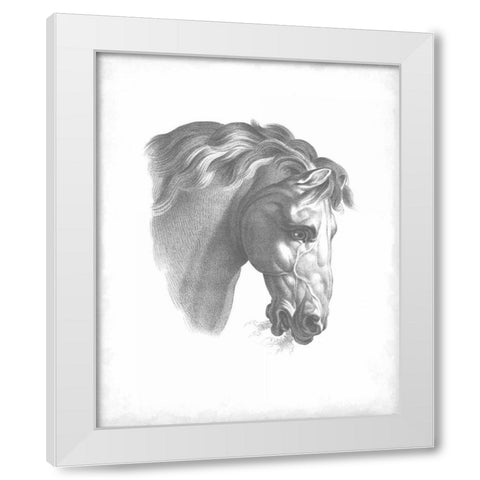 Equestrian Blueprint IV White Modern Wood Framed Art Print by Vision Studio