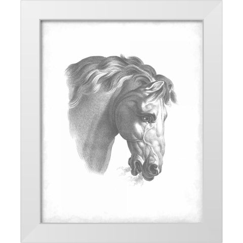 Equestrian Blueprint IV White Modern Wood Framed Art Print by Vision Studio