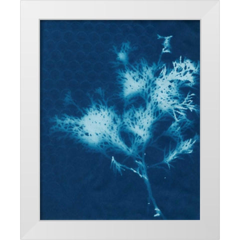 Cyanotype No.3 White Modern Wood Framed Art Print by Stramel, Renee W.