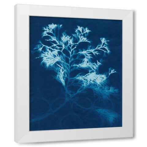 Cyanotype No.4 White Modern Wood Framed Art Print by Stramel, Renee W.