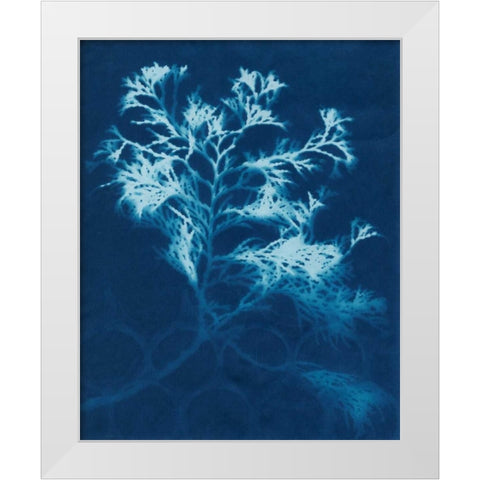 Cyanotype No.4 White Modern Wood Framed Art Print by Stramel, Renee W.