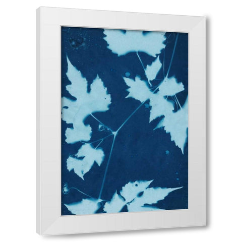 Cyanotype No.9 White Modern Wood Framed Art Print by Stramel, Renee W.