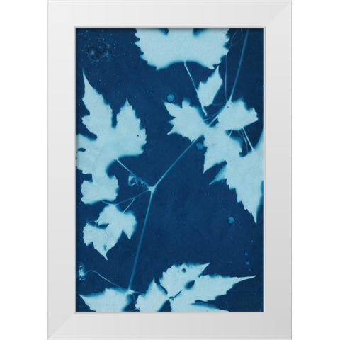 Cyanotype No.9 White Modern Wood Framed Art Print by Stramel, Renee W.