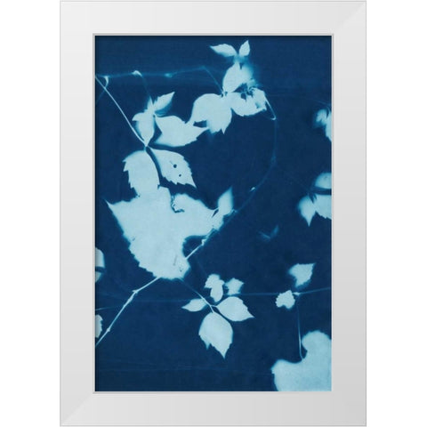 Cyanotype No.11 White Modern Wood Framed Art Print by Zarris, Chariklia