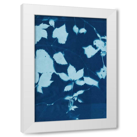 Cyanotype No.12 White Modern Wood Framed Art Print by Zarris, Chariklia