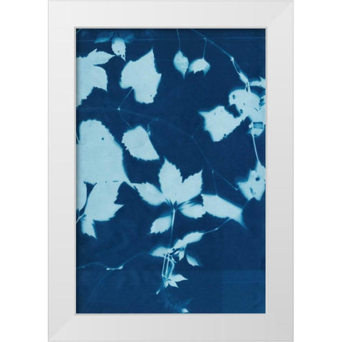 Cyanotype No.12 White Modern Wood Framed Art Print by Zarris, Chariklia