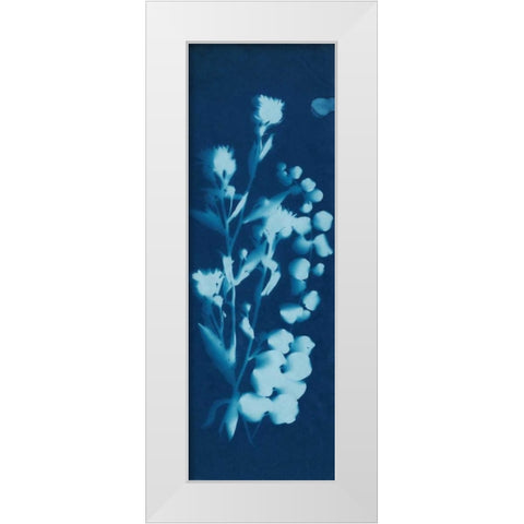 Cyanotype No.14 White Modern Wood Framed Art Print by Guthrie, Jenna