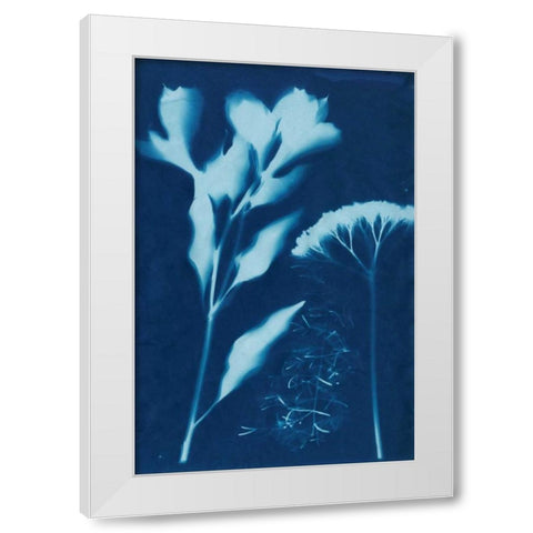 Cyanotype No.15 White Modern Wood Framed Art Print by Guthrie, Jenna