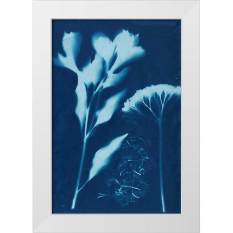 Cyanotype No.15 White Modern Wood Framed Art Print by Guthrie, Jenna
