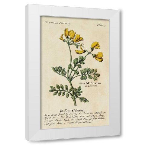 Gardeners Guide I White Modern Wood Framed Art Print by Unknown