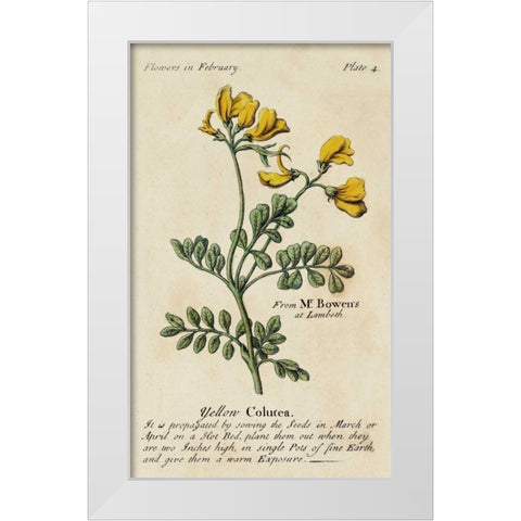 Gardeners Guide I White Modern Wood Framed Art Print by Unknown