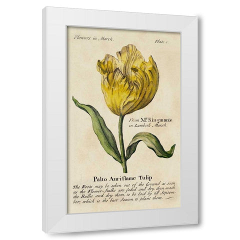 Gardeners Guide II White Modern Wood Framed Art Print by Unknown