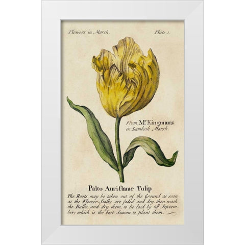 Gardeners Guide II White Modern Wood Framed Art Print by Unknown