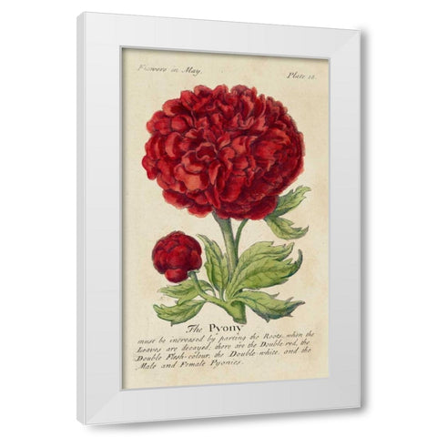 Gardeners Guide III White Modern Wood Framed Art Print by Unknown