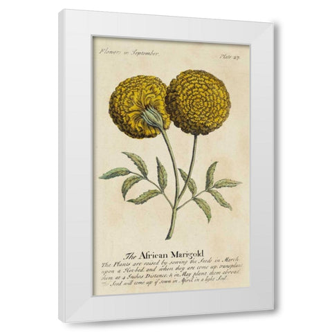 Gardeners Guide V White Modern Wood Framed Art Print by Unknown