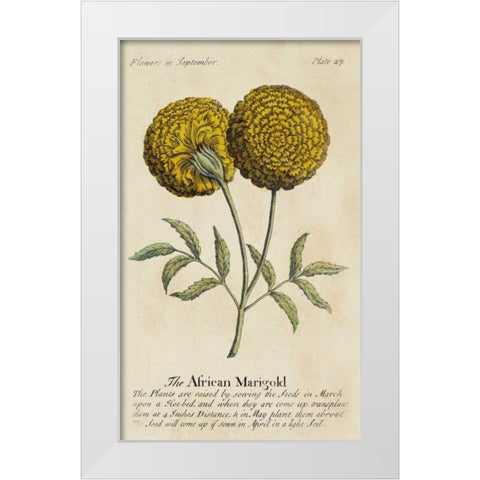 Gardeners Guide V White Modern Wood Framed Art Print by Unknown