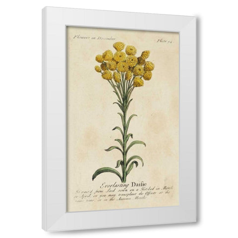 Gardeners Guide VIII White Modern Wood Framed Art Print by Unknown