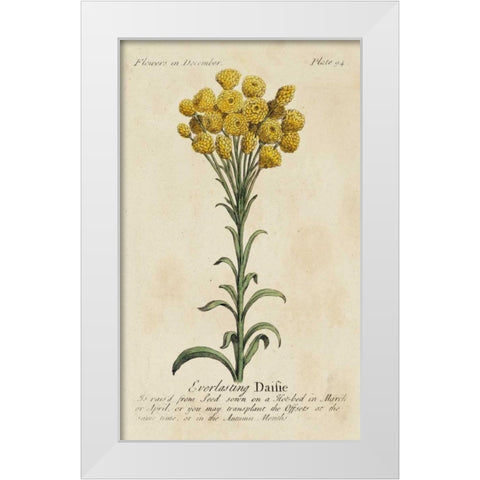 Gardeners Guide VIII White Modern Wood Framed Art Print by Unknown