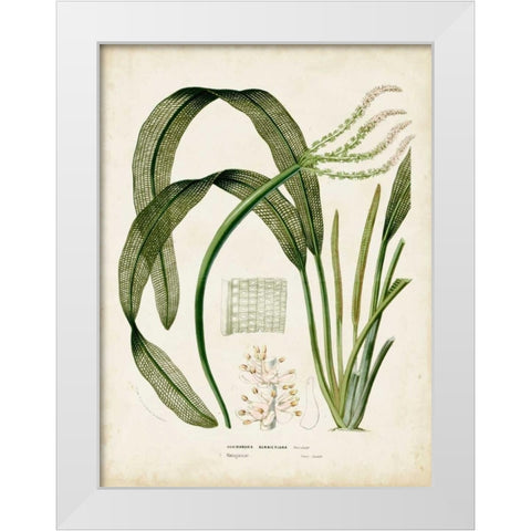 Tropical Grass I White Modern Wood Framed Art Print by Vision Studio