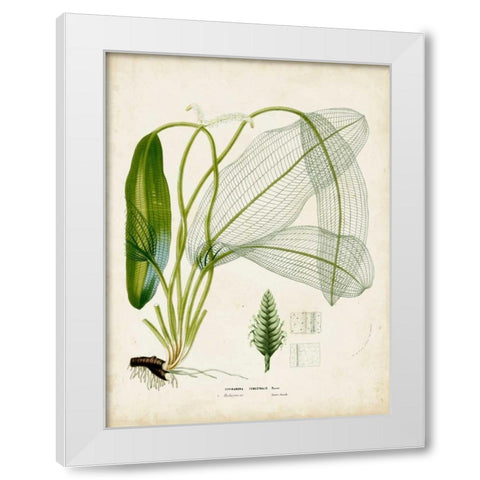 Tropical Grass II White Modern Wood Framed Art Print by Vision Studio