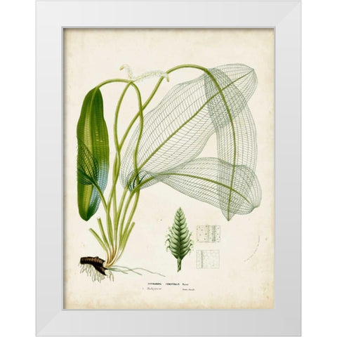 Tropical Grass II White Modern Wood Framed Art Print by Vision Studio