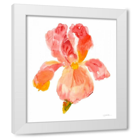 Sunset Blooms II White Modern Wood Framed Art Print by OToole, Tim